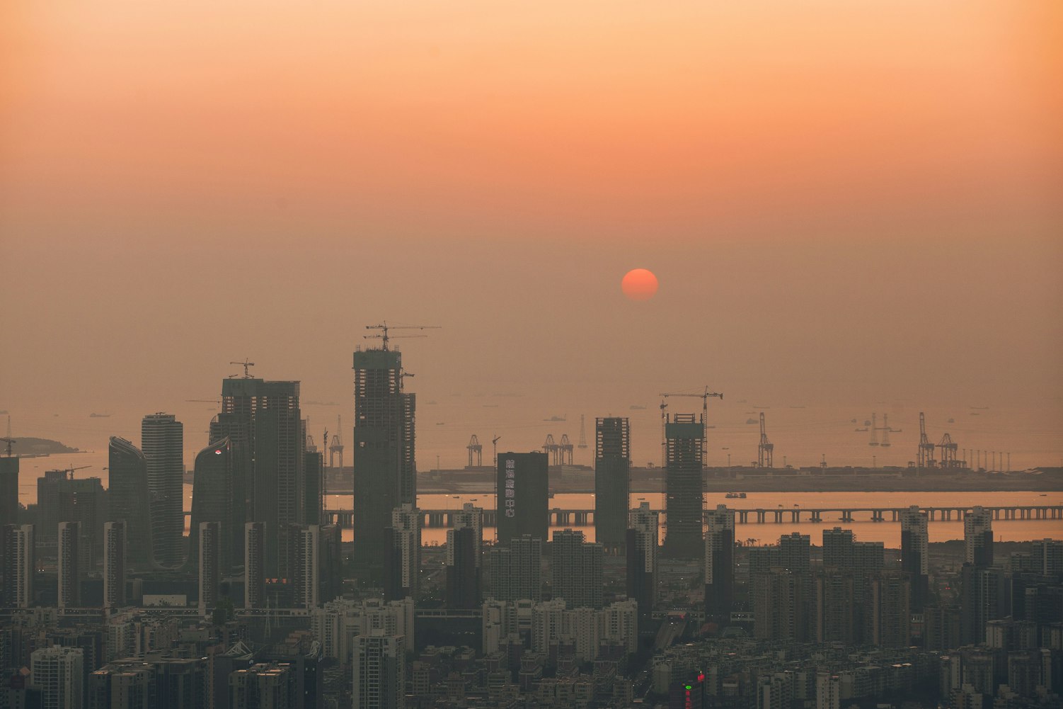 【深圳市疫情最新消息2022/深圳市疫情最新情况分布图】 【深圳市疫情最新消息2022/深圳市疫情最新情况分布图】